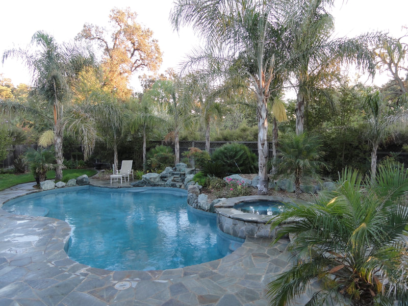 Classic pool with palm trees