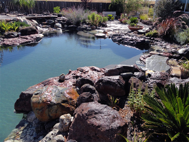 Natural pool with rocks